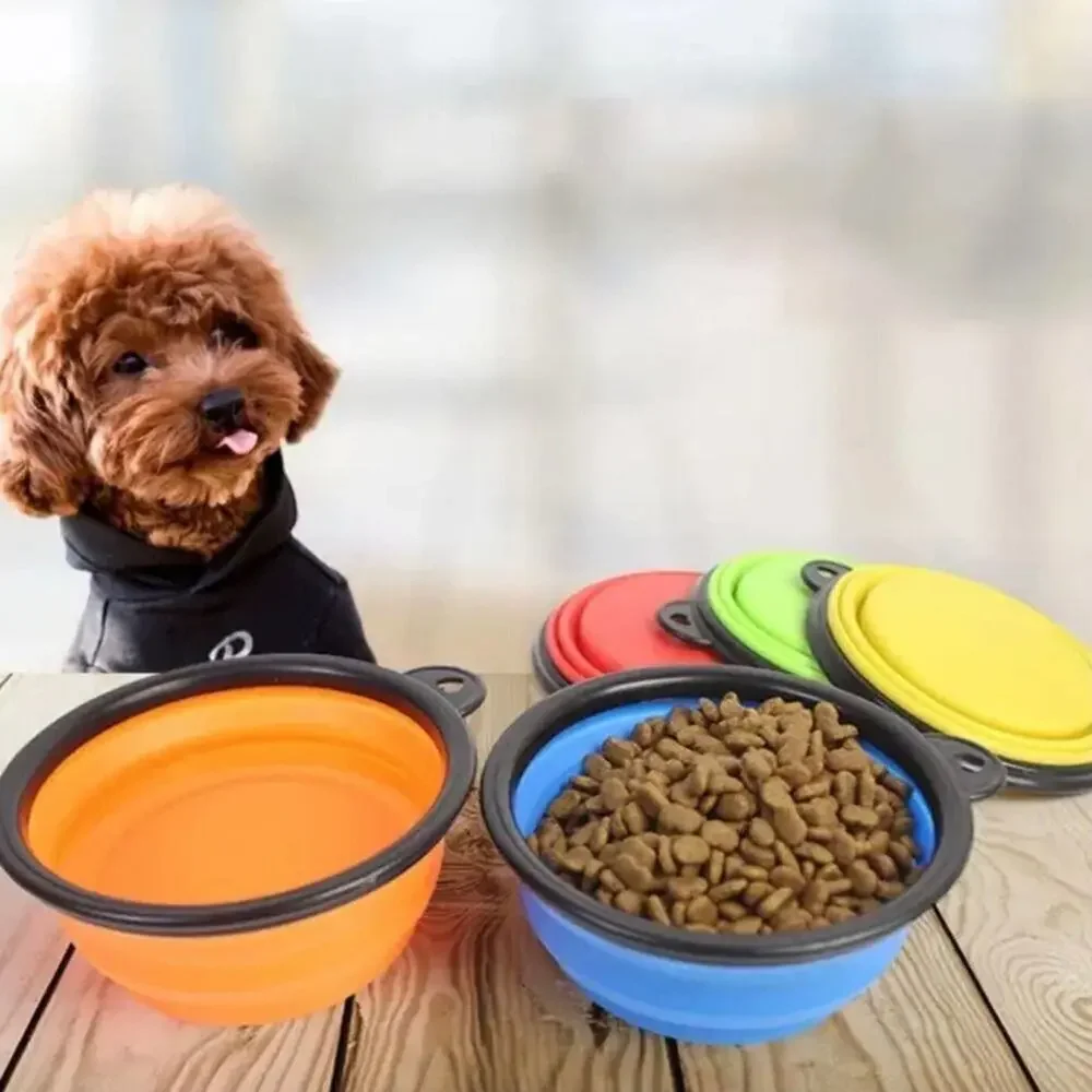 New collapsible dog dish